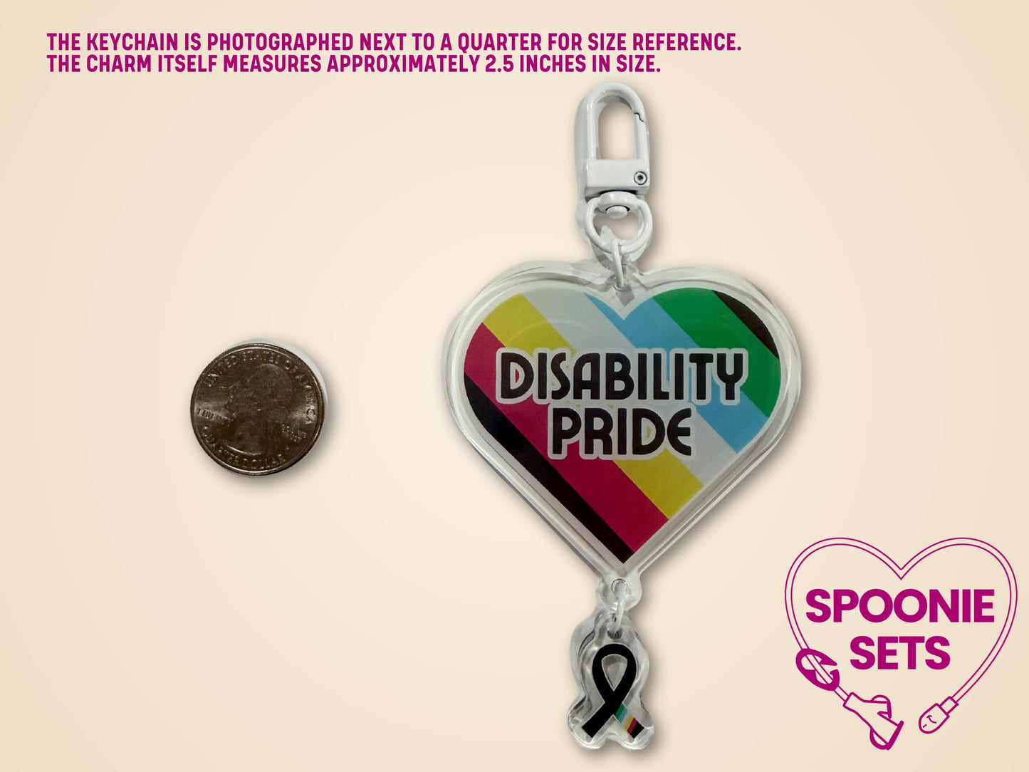 Clear acrylic heart keychain with "DISABILITY PRIDE" text and a disability flag, plus a black awareness ribbon charm.