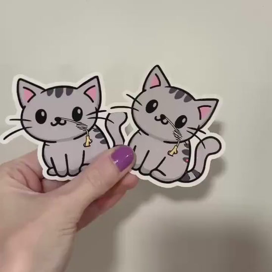 Tubie Tabby Cat Sticker: Feeding Tube Awareness - Spoonie Gift